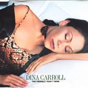 The Perfect Year - Dina Carroll