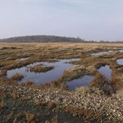 Dingle Marshes