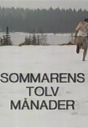 The Twelve Months of the Summer (1988)