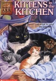 Kittens in the Kitchen (Ben M. Baglio)