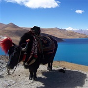 Yamdrok Tso, Tibet