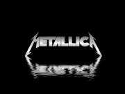 Metallica the Unforgiven