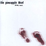 The Pineapple Thief, Little Man