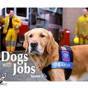 Dogs With Jobs