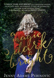 A Magic Dark and Bright (The Asylum Saga, #1) (Jenny Adams Perinovic)