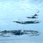 Throwing Stones Into Water
