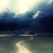 Calm Before the Storm