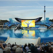 Visit Sea World