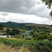 Laurelwood, Oregon