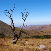 Swim in the Rivers of Lekgalameetse
