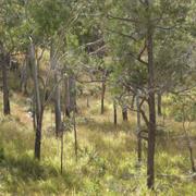 Humboldt National Park (QLD)