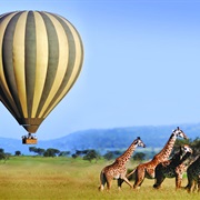 Hot Air Balloon Over the African Savannah