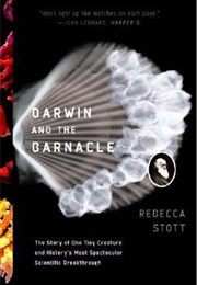Darwin and the Barnacle (Rebecca Stott)