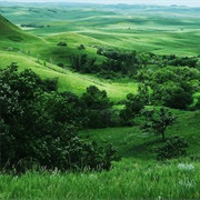 Take a Stroll in the Irish Countryside
