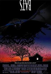 Bats