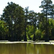 Atchafalaya National Heritage Area