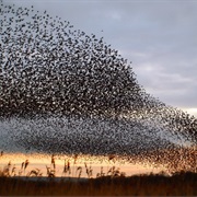 Somerset Levels and Bridgewater Bay, England