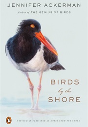 Birds by the Shore (Jennifer Ackerman)