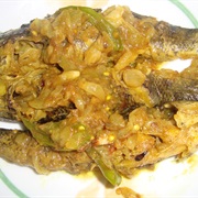 Spotted Snakehead (Channa Punctata)