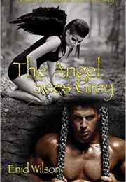 The Angel Sees Grey: Pleasure & Punishment for Mr. Darcy (Enid Wilson)