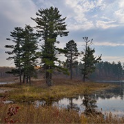 Paul Bunyan State Forest, Minnesota