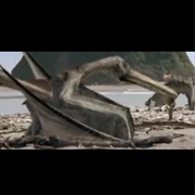 Female Ornithichirus