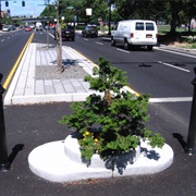 Smallest Park - Mill Ends Park, Portland, Oregon, USA