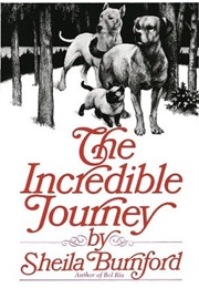 The Incredible Journey (Burnford, Sheila)