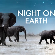 Night on Earth (2020)