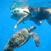 Snorkel in Turks & Caicos
