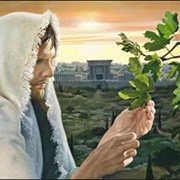 Parable of the Budding Fig Tree