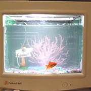 Old Computer Fishtank