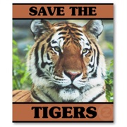 International Tiger Day (Tiger Conservation - July 29)