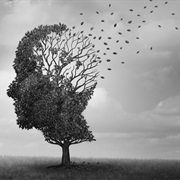 Dissociative Amnesia