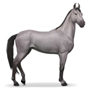 Marwari - Mouse Gray