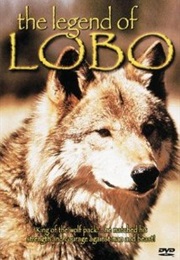 The Legend of Lobo (2000)