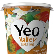 Mango and Vanilla Yoghurt