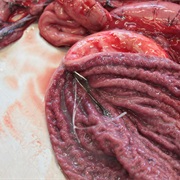 Seal Offal