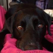 Think I'm Bored Now....