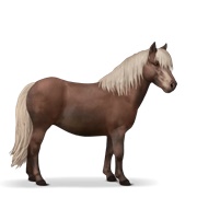 Shetland - Flaxen Liver Chestnut