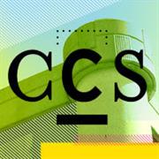 Buy Affordable Art at the CCS Student Exhibition