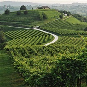 Prosecco Road, Treviso