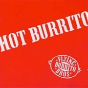 Flying Burrito Brothers - Hot Burrito #1