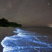 Thread Through Ocean Filled With Bioluminesencent Phytoplankton
