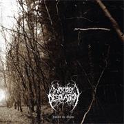 Woods of Desolation - Towards the Depths