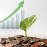 Accept Low Wages to Further Career