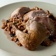 Grey Partridge / English Partridge