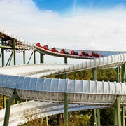 Bobbahn (Heide Park, Germany)