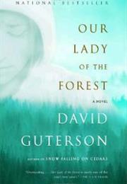 Our Lady of the Forest by David Guterson