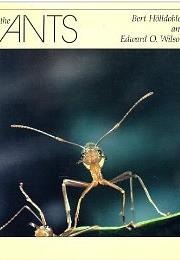 The Ants (Bert Hölldobler, Edward O. Wilson)